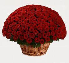 Премиум букет из: Розы в Нерюнгри